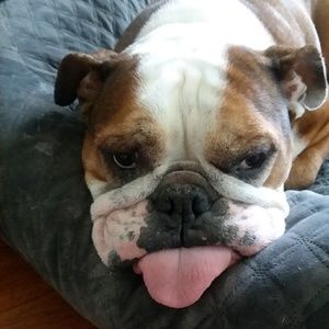 Meet your Posher, Nikole